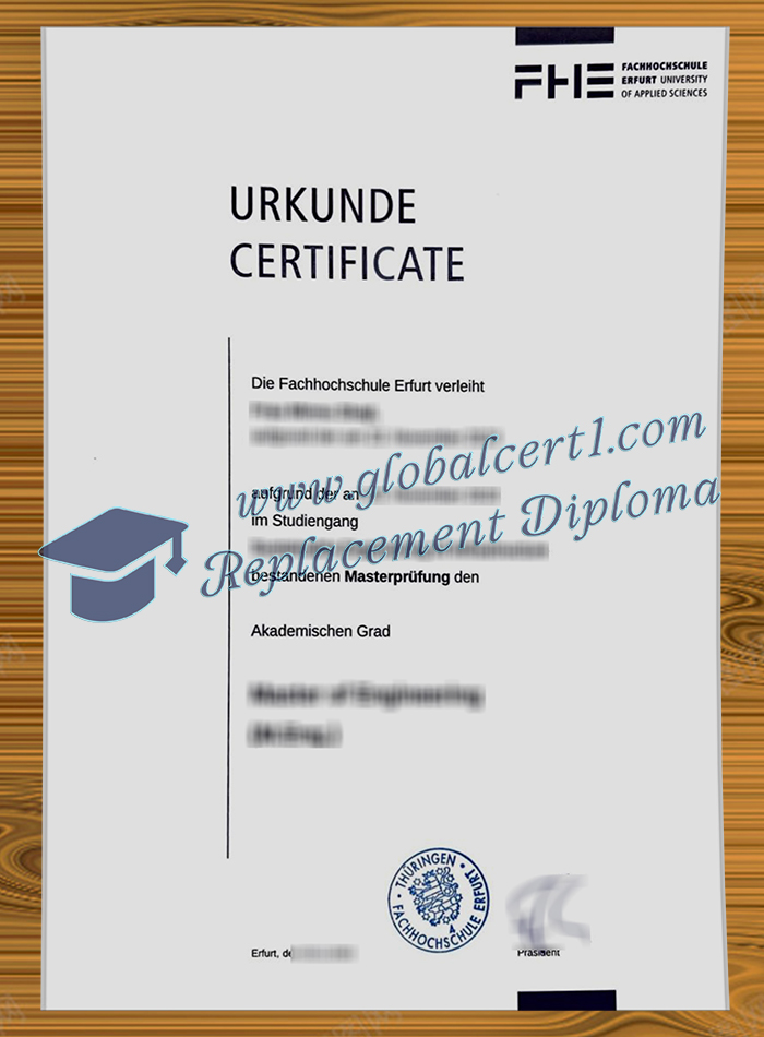 Alanus Hochschule degree