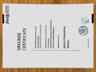 Alanus Hochschule diploma