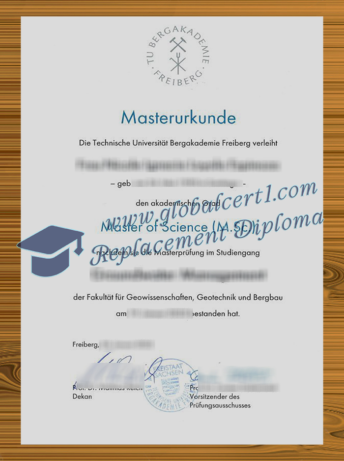 TU Bergakademie Freiberg degree