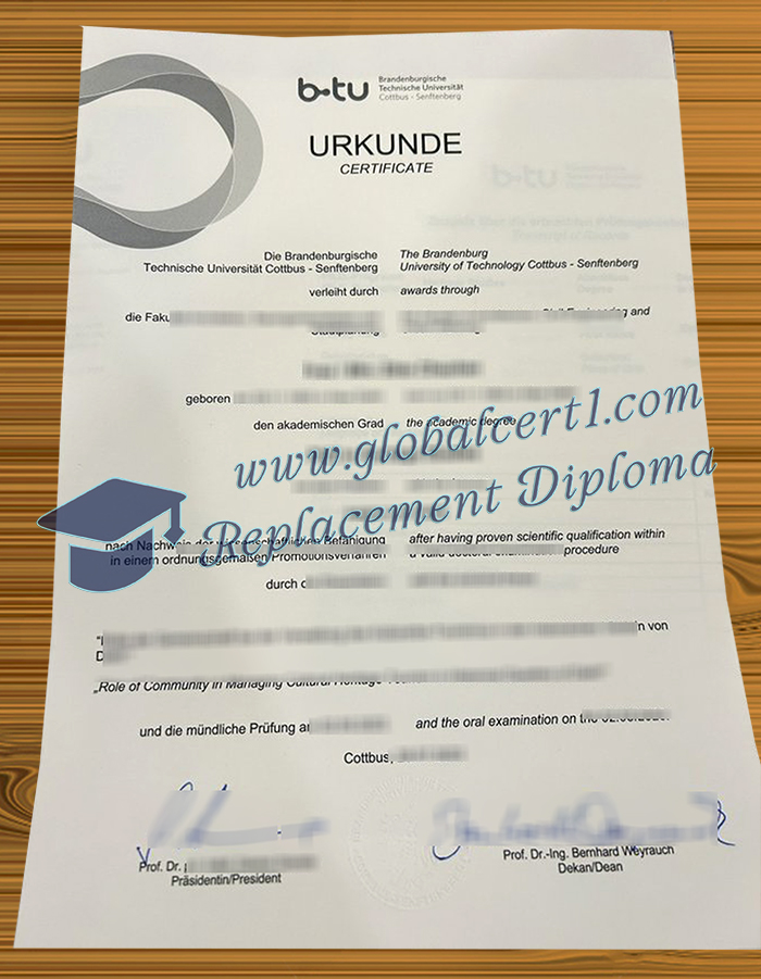 Brandenburgische Technische Universität degree