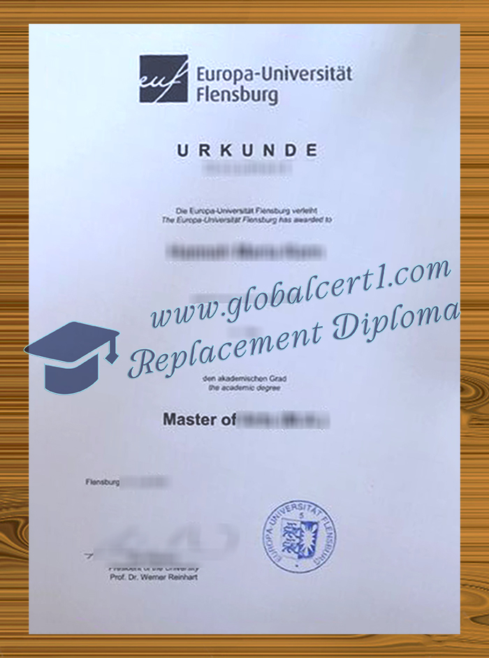 Europa-Universität Flensburg degree