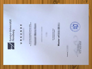 Europa-Universität Flensburg diploma