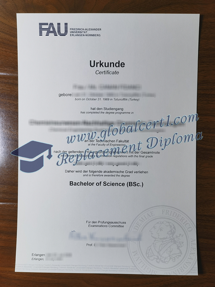 FAU Erlangen-Nürnberg degree