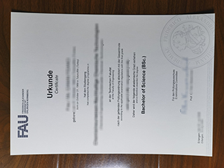 Friedrich-Alexander-Universität Erlangen-Nürnberg diploma