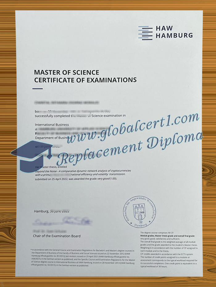 HAW Hamburg degree