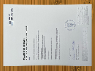 HAW Hamburg diploma