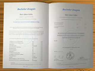 Hamburger Fern-Hochschule zeugnis