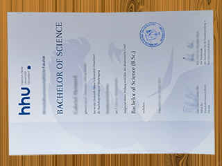 Heinrich-Heine-Universität Düsseldorf diploma