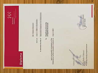 Hochschule Augsburg diploma