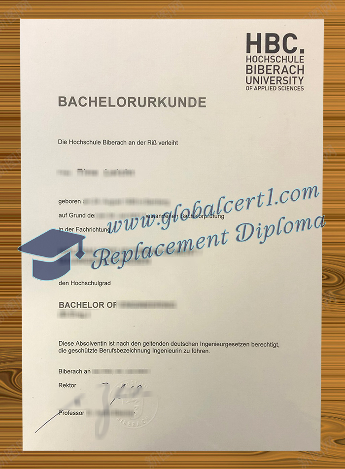 Hochschule Biberach degree
