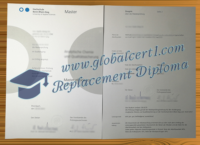 Hochschule Bonn-Rhein-Sieg urkunde und zeugnis