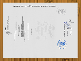 Hochschule Darmstadt diploma