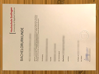 Hochschule Esslingen diploma