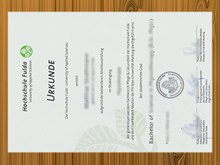 Hochschule Fulda diploma