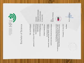 Hochschule Furtwangen University diploma