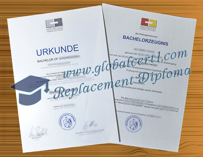 Hochschule Hamm-Lippstadt Urkunde zeugnis