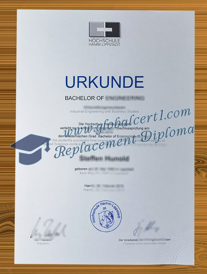 Hochschule Hamm-Lippstadt degree
