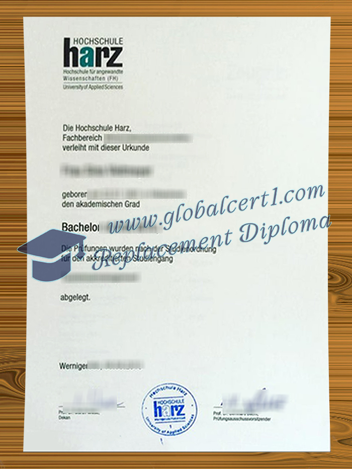 Hochschule Harz degree