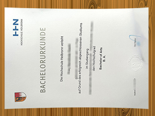 Hochschule Heilbronn diploma