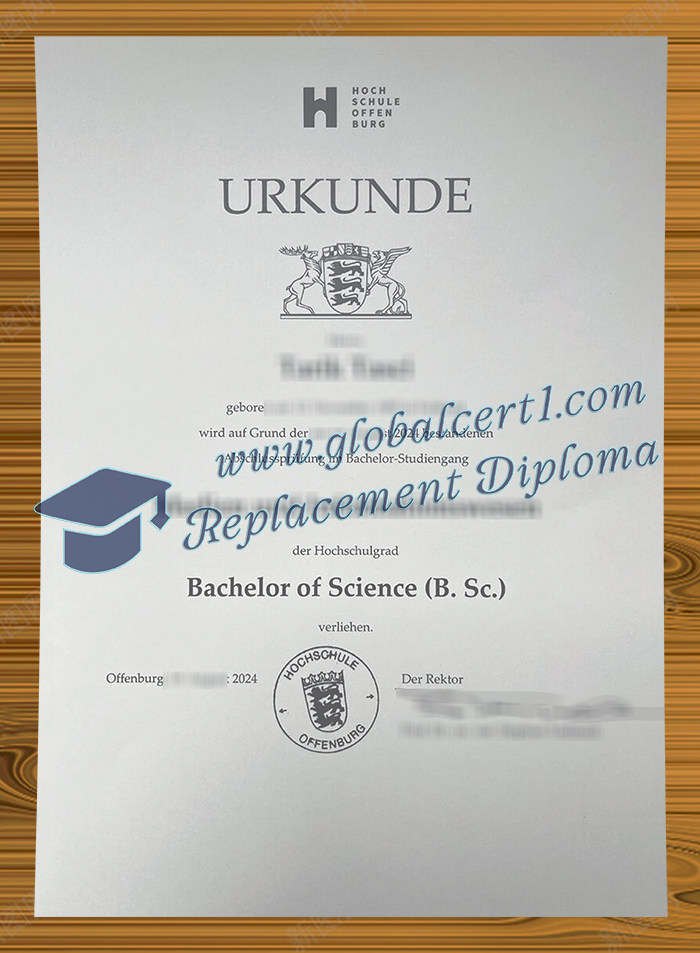Hochschule Offenburg degree