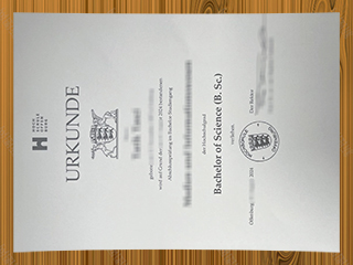 Hochschule Offenburg diploma