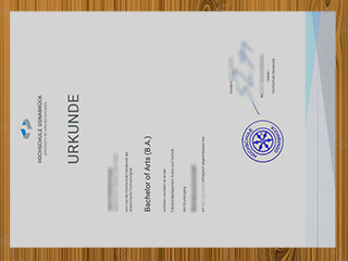 Hochschule Osnabrück diploma