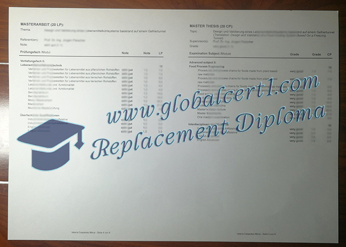 Karlsruher Institut für Technologie zeugnis