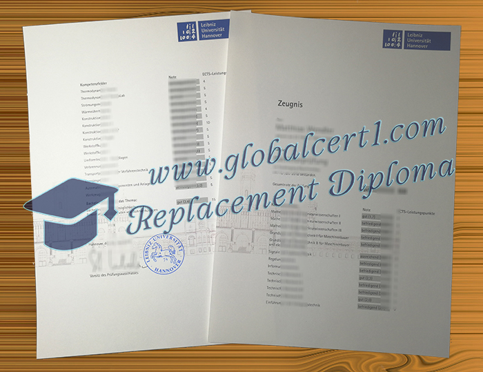 Leibniz Universität Hannover transcript