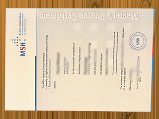 MSH Medical School Hamburg diploma