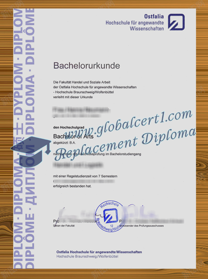 Ostfalia Hochschule degree