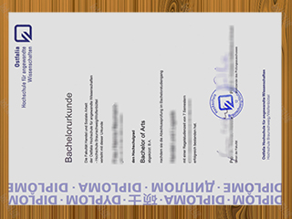 Ostfalia Hochschule diploma