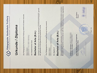 Pädagogische Hochschule Freiburg diploma
