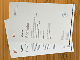 SRH Fernhochschule degree and transcript