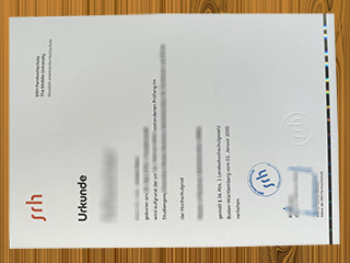 SRH Hochschule Heidelberg diploma