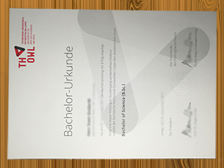 TH OWL diploma
