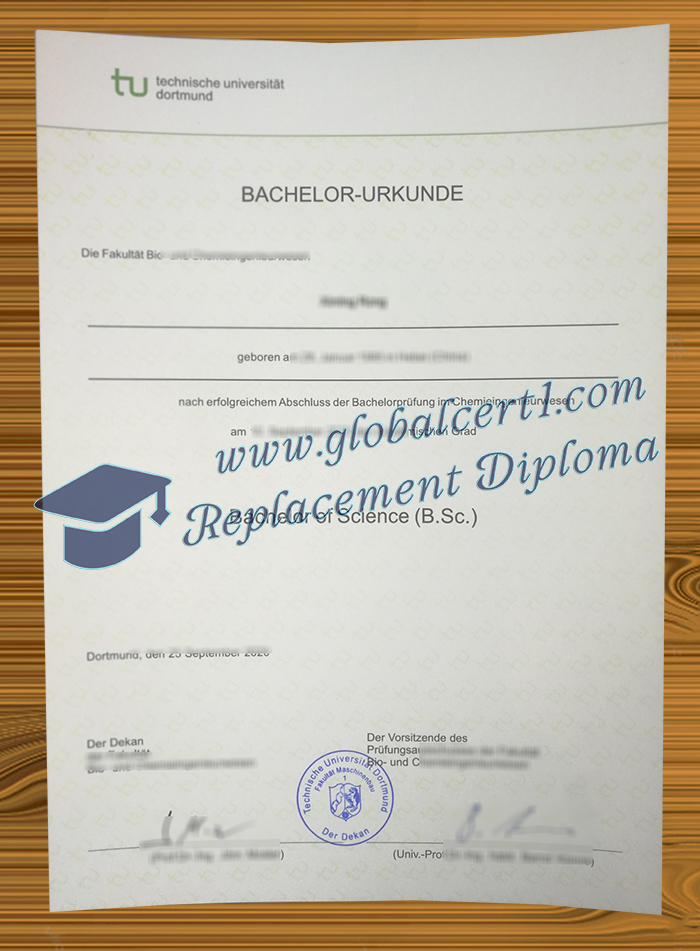 TU Dortmund degree
