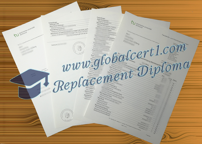 TU Dortmund transcript