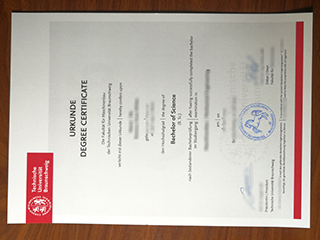 TU Braunschweig diploma