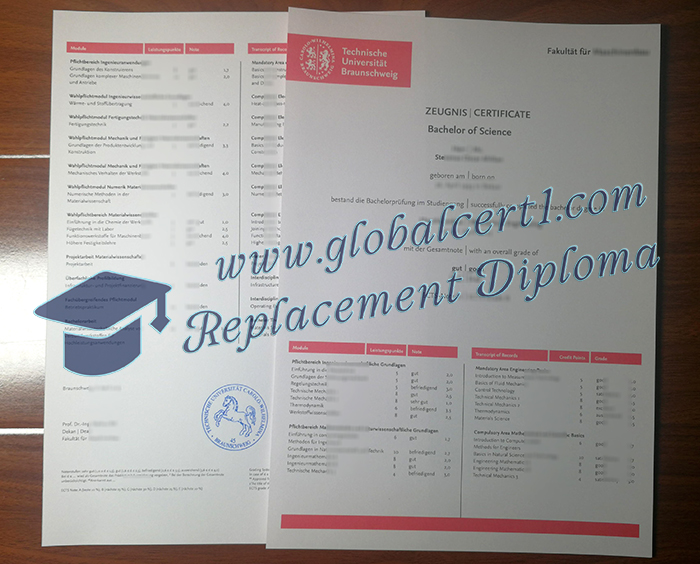 TU Braunschweig transcript