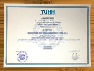 Technische Universität Hamburg diploma