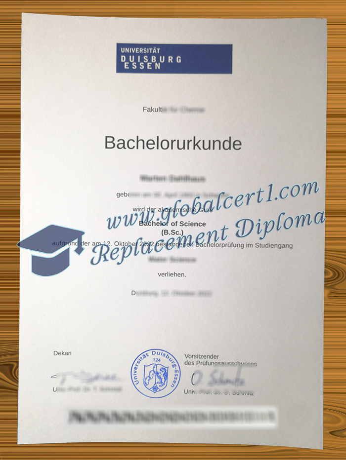 Universität Duisburg-Essen degree
