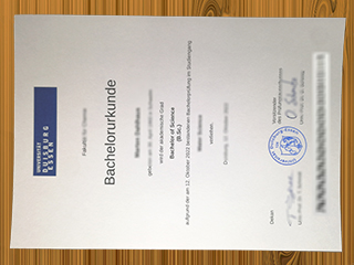 Universität Duisburg-Essen diploma