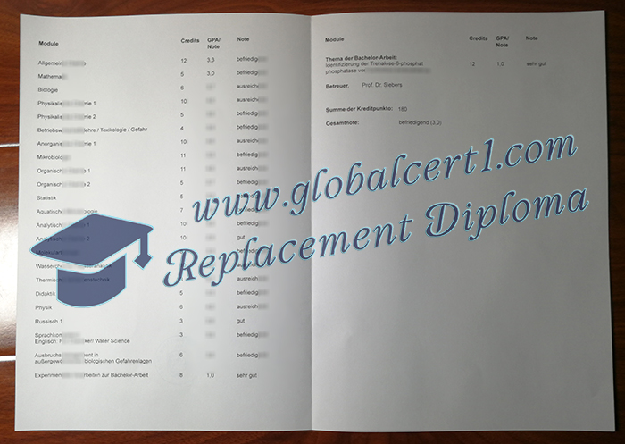 Universität Duisburg-Essen transcript