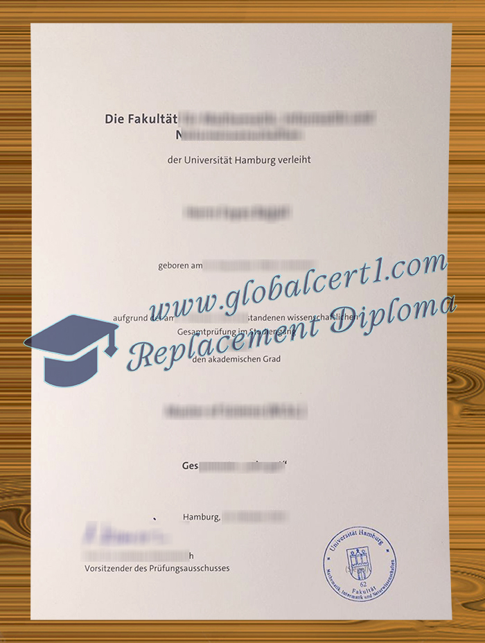 Universität Hamburg degree