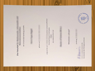 Universität Hamburg diploma
