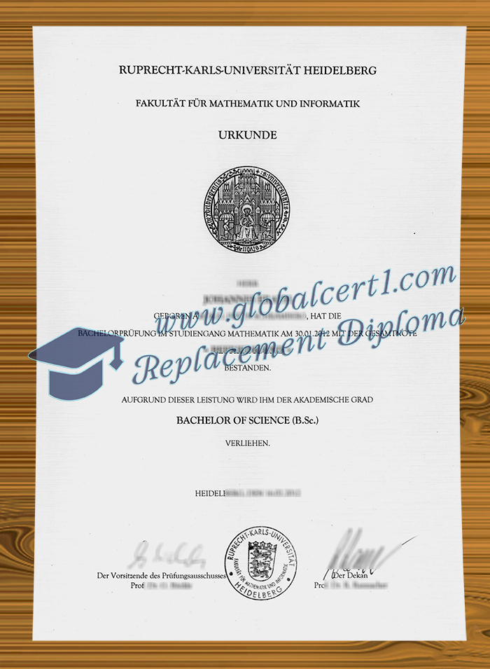 Universität Heidelberg degree