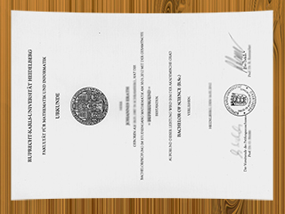 Universität Heidelberg diploma