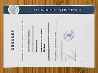 Universität Hohenheim diploma