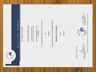 Universität Potsdam diploma