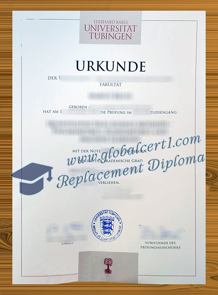 Universität in Tübingen degree